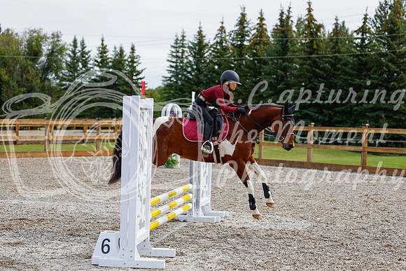 2025 - Haylee - Picco Horse Show - Friay July 25th 00588