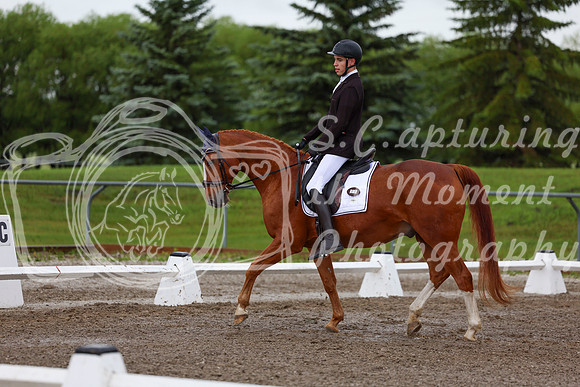 2025 - Dressage Festival - Sunday July 6th - 01336