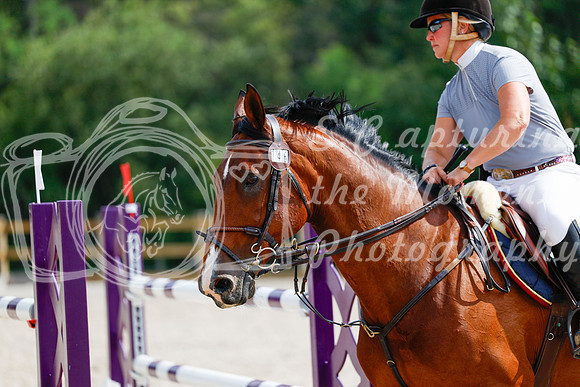2025 - Haylee - Picco Horse Show - Saturday July 26th 08217
