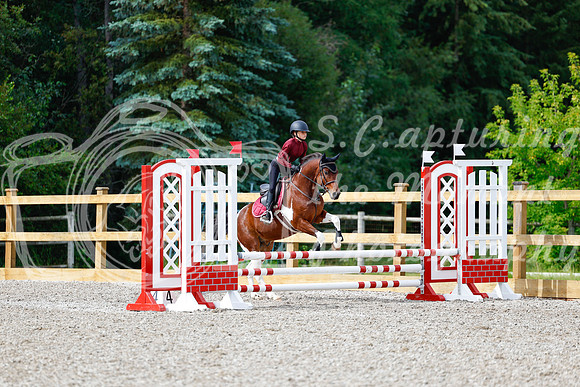 2025 - Haylee - Picco Horse Show - Friay July 25th 00863