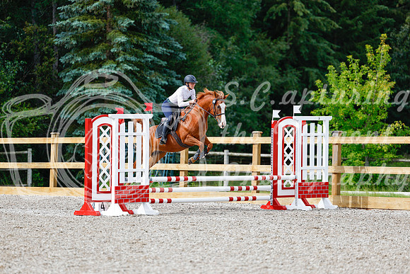 2025 - Haylee - Picco Horse Show - Friay July 25th 00899