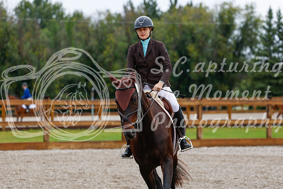 2025 - Haylee - Picco Horse Show - Sunday July 27th 00881