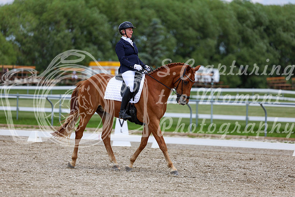 2025 - Dressage Festival - Saturday July 5th - 12472