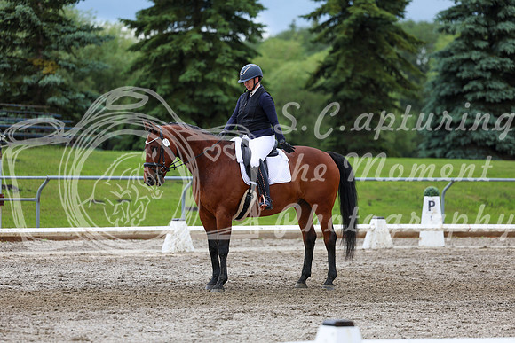 2025 - Dressage Festival - Sunday July 6th - 11793