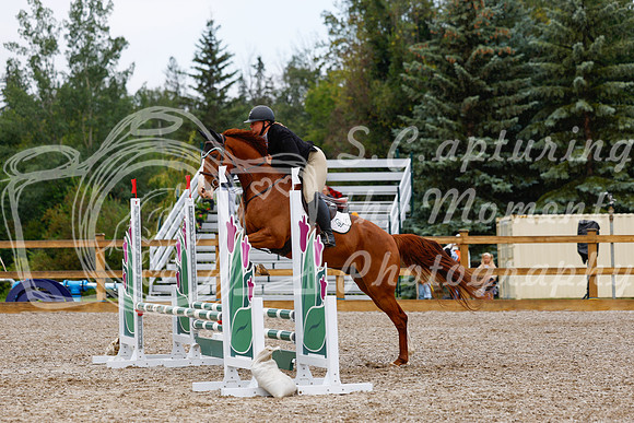2025 - Haylee - Picco Horse Show - Sunday July 27th 01521