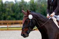 2025 - Haylee - Picco Horse Show - Sunday July 27th 00885