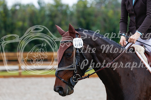 2025 - Haylee - Picco Horse Show - Sunday July 27th 00885