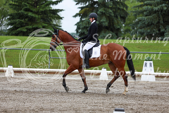 2025 - Dressage Festival - Sunday July 6th - 07321