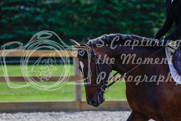 2025 - Haylee - Picco Horse Show - Thursday July 24th 01993