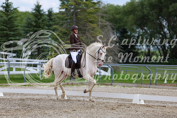 2025 - Dressage Festival - Saturday July 5th - 12145