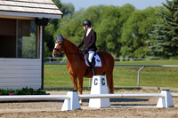 2025 - Dressage Festival - Saturday July 5th - 01638
