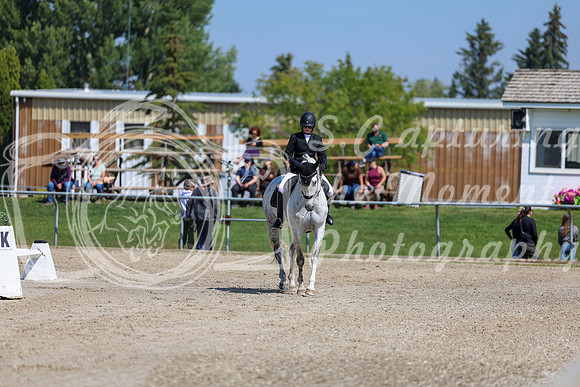 2025 - Dressage Festival - Saturday July 5th - 04726