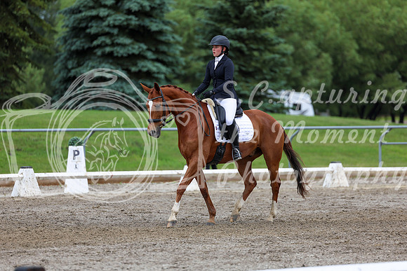 2025 - Dressage Festival - Sunday July 6th - 12269