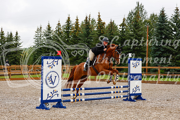 2025 - Haylee - Picco Horse Show - Sunday July 27th 01532