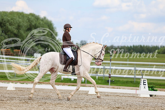 2025 - Dressage Festival - Saturday July 5th - 12139