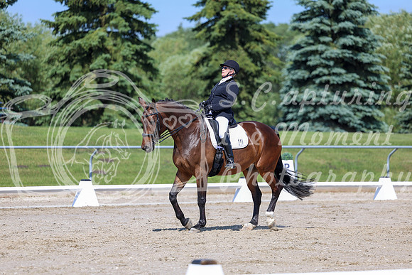 2025 - Dressage Festival - Saturday July 5th - 05274
