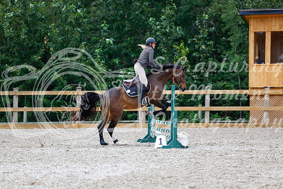 2025 - Haylee - Picco Horse Show - Saturday July 26th 02773