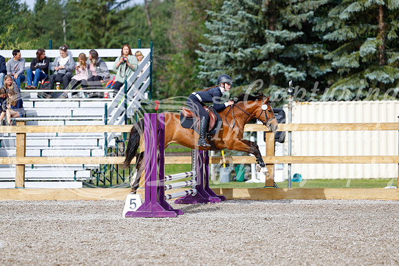 2025 - Haylee - Picco Horse Show - Friay July 25th 00664
