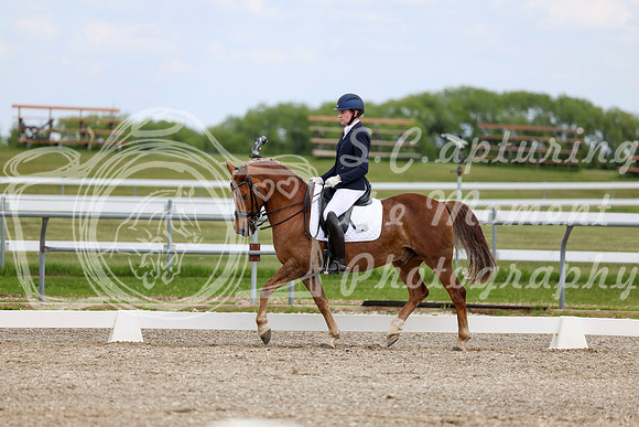 2025 - Dressage Festival - Saturday July 5th - 11830