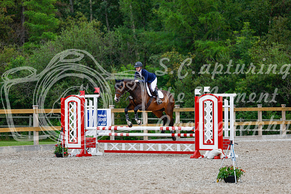 2025 - Haylee - Picco Horse Show - Sunday July 27th 03778