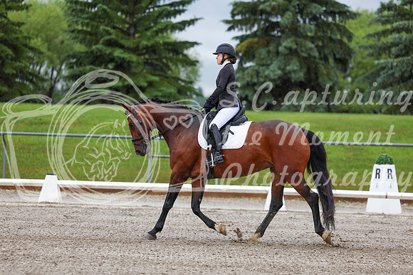 2025 - Dressage Festival - Sunday July 6th - 00843
