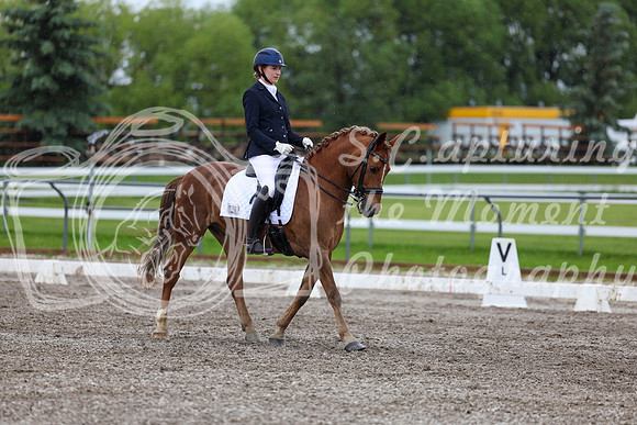 2025 - Dressage Festival - Sunday July 6th - 07625