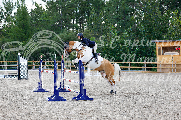 2025 - Haylee - Picco Horse Show - Sunday July 27th 05047