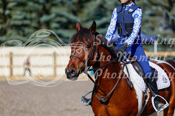 2025 - Haylee - Picco Horse Show - Thursday July 24th 00541