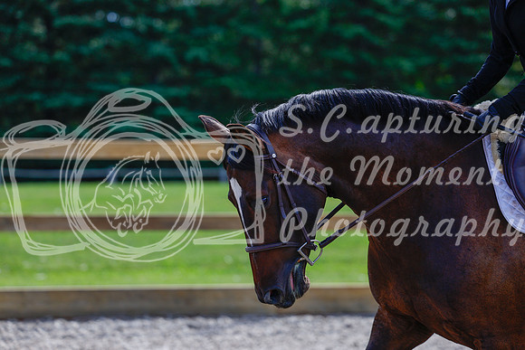 2025 - Haylee - Picco Horse Show - Thursday July 24th 01994