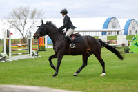 2025 - Shea - Bow Valley II - Friday May 16th - 02162
