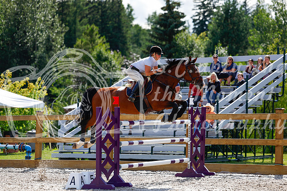 2025 - Haylee - Picco Horse Show - Friay July 25th 05984