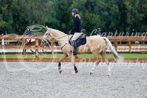 2025 - Haylee - Picco Horse Show - Sunday July 27th 00449