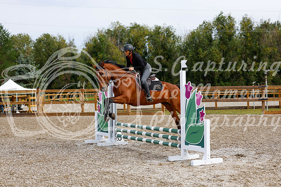 2025 - Haylee - Picco Horse Show - Friay July 25th 00640