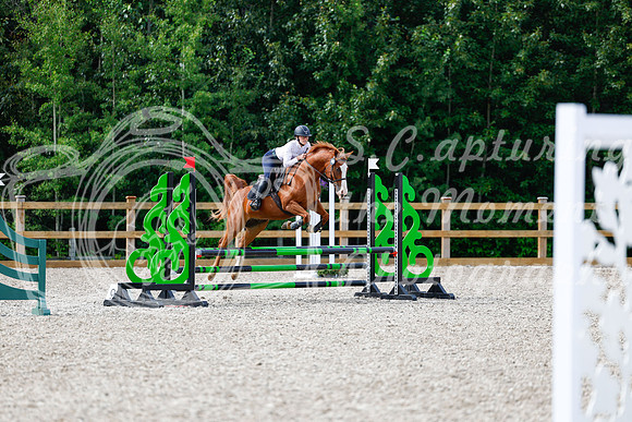 2025 - Haylee - Picco Horse Show - Thursday July 24th 01597