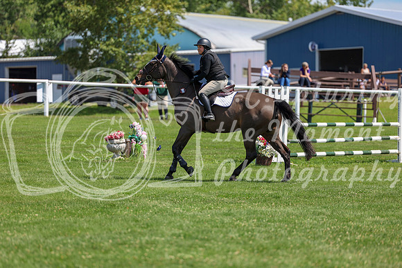 2025 - Shea - Teesdale - Thursday July 24th - 01352