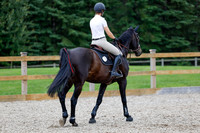 2025 - Haylee - Picco Horse Show - Saturday July 26th 05017