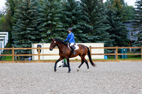 2025 - Haylee - Picco Horse Show - Sunday July 27th 00019