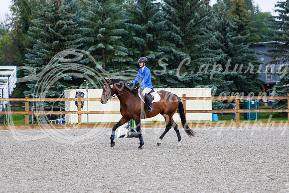 2025 - Haylee - Picco Horse Show - Sunday July 27th 00019