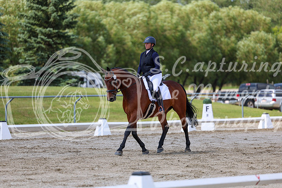 2025 - Dressage Festival - Saturday July 5th - 09713