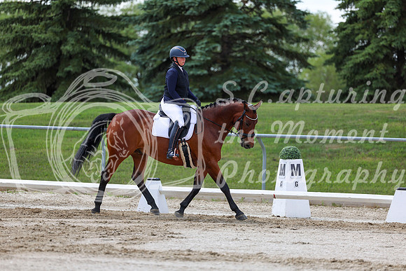 2025 - Dressage Festival - Saturday July 5th - 09736