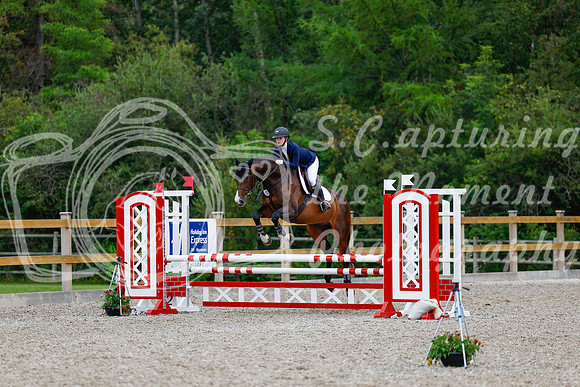 2025 - Haylee - Picco Horse Show - Sunday July 27th 03776