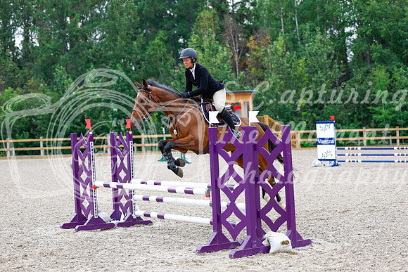 2025 - Haylee - Picco Horse Show - Saturday July 26th 04398
