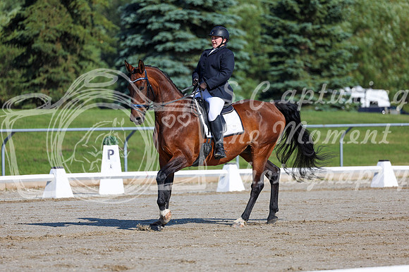 2025 - Dressage Festival - Saturday July 5th - 00975