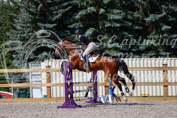 2025 - Haylee - Picco Horse Show - Thursday July 24th 02236