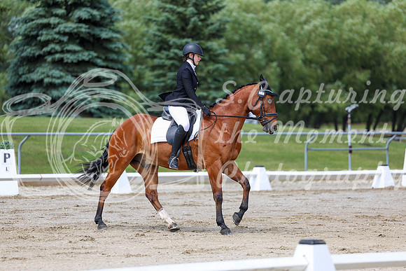 2025 - Dressage Festival - Saturday July 5th - 07371