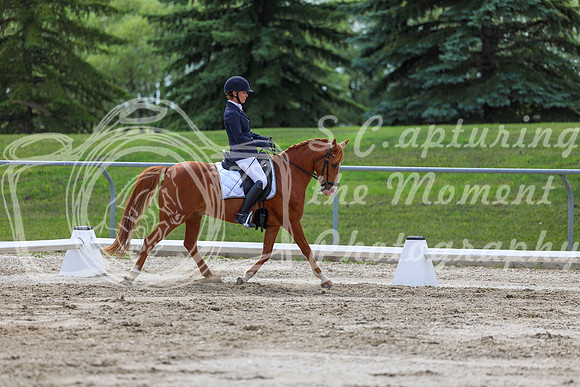 2025 - Dressage Festival - Saturday July 5th - 13799