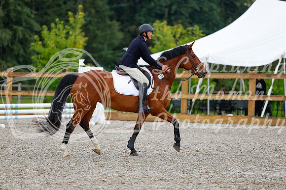 2025 - Haylee - Picco Horse Show - Sunday July 27th 00460