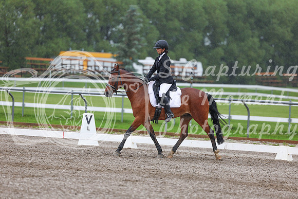 2025 - Dressage Festival - Sunday July 6th - 03002