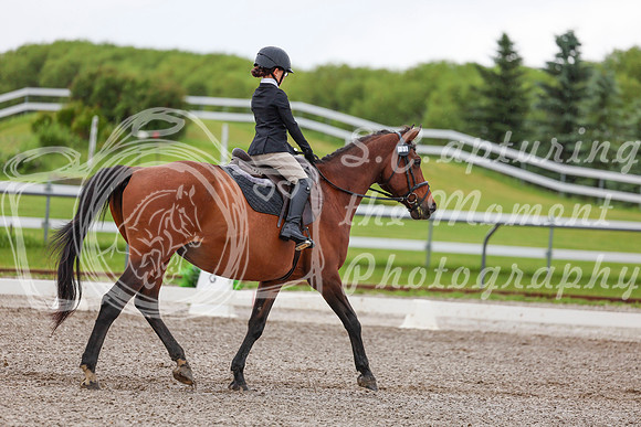 2025 - Dressage Festival - Sunday July 6th - 01833