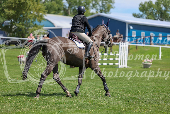 2025 - Shea - Teesdale - Thursday July 24th - 01349